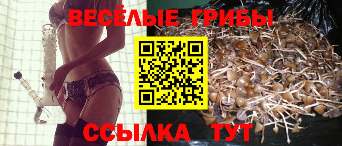 Галлюциногенные грибы GOLDEN TEACHER Вичуга