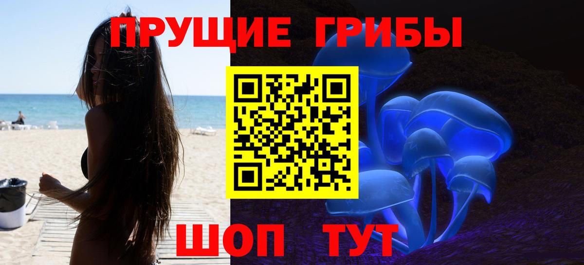 купить наркотик  Вход с VPN  Вичуга  Псилоцибиновые грибы Magic Shrooms 